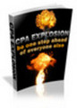 Thumbnail *new* CPA Explosion Business in A Box with MRR