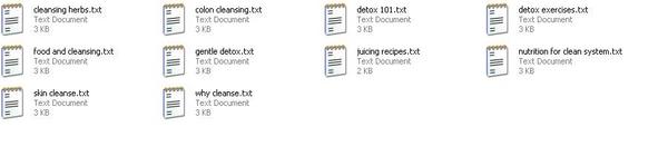 Product picture *new* Detox Articles with PLR