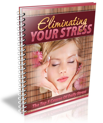 Product picture *new* Eliminating Your Stress Business in A Box PLR