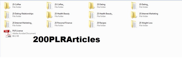 Product picture *must have*200 Niche Articles (NOV 2010) with PLR