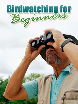 Product picture *must have*Bird Watching For Beginners with PLR