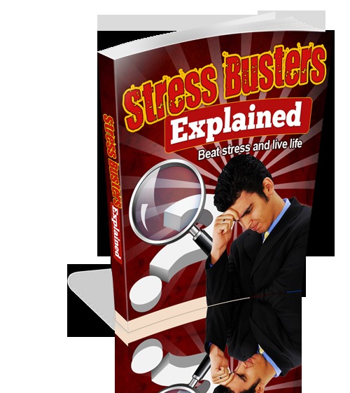 Product picture Stress Busters Explained with MRR