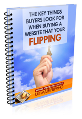 Product picture *new* Website Flipping Secrets