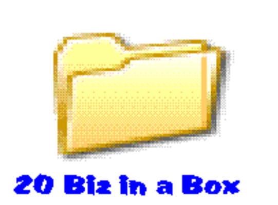 Product picture *new* 20 Business In a Box with Master Resale Right