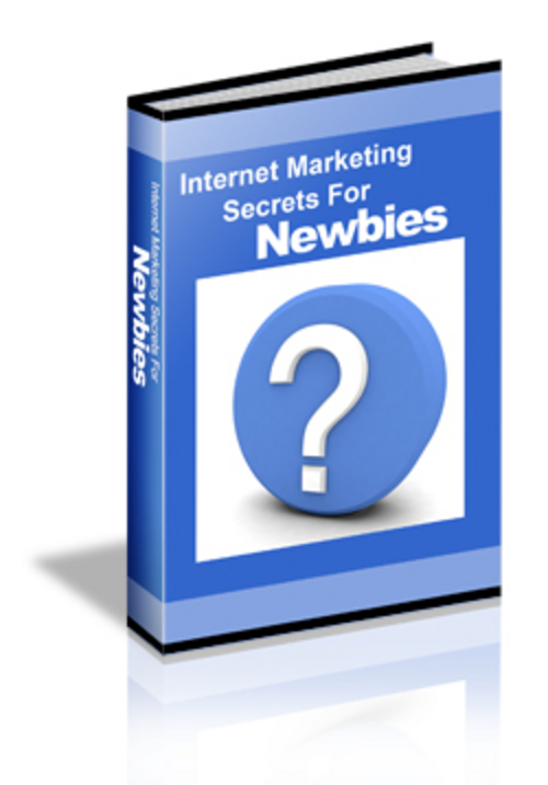 Product picture *new* Internet Marketing For Newbies with PLR