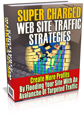 Product picture *new* Website Traffic Strategies with Master Resale Right