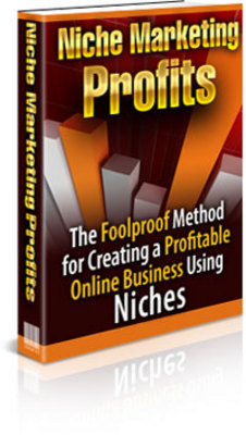 Product picture *new* Niche Marketing Profits Report with PLR