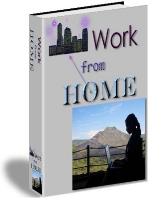 Product picture *new* Work From Home Report with PLR